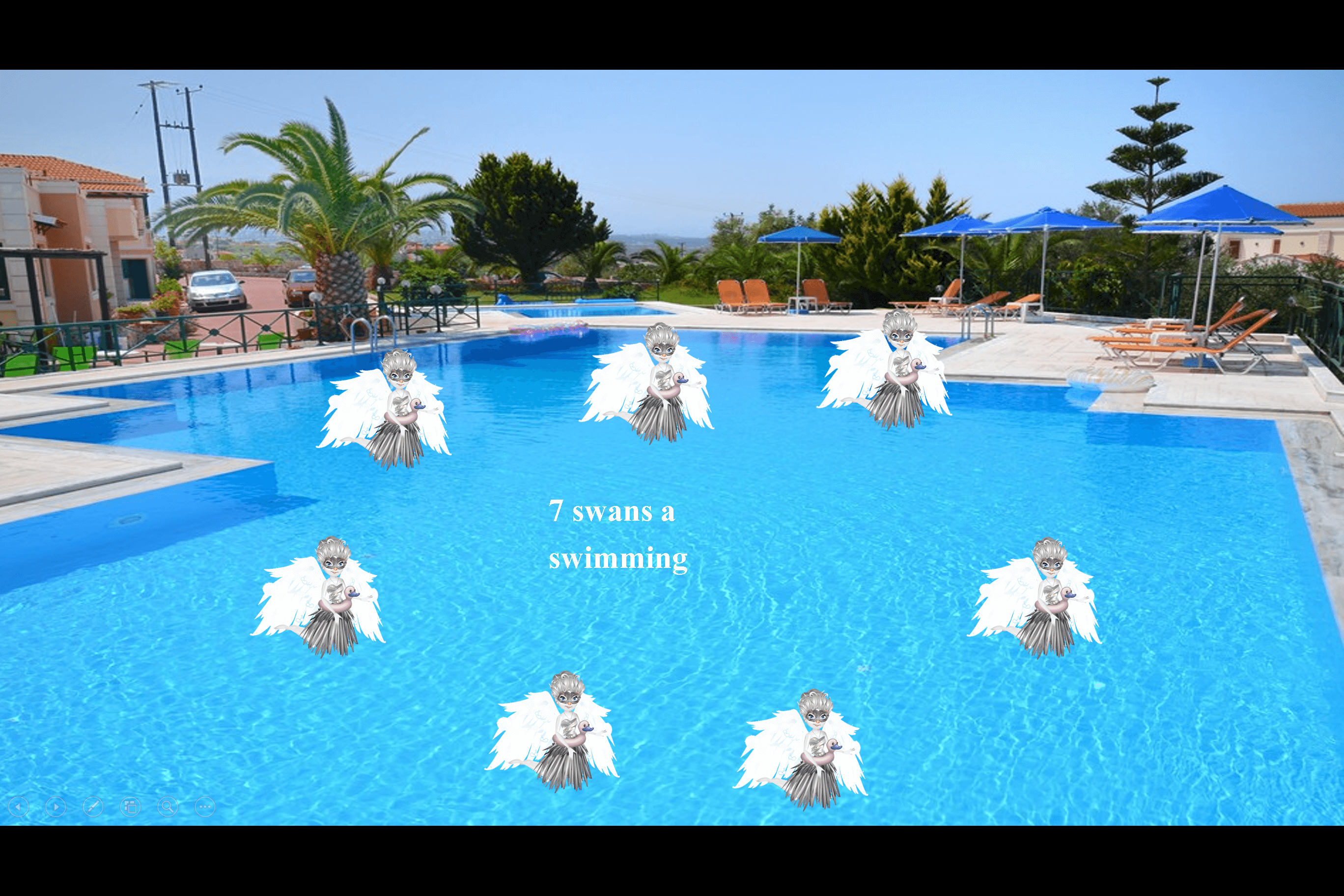 7 swans a swimming