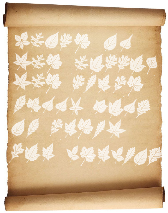 Small leaf lettering.png