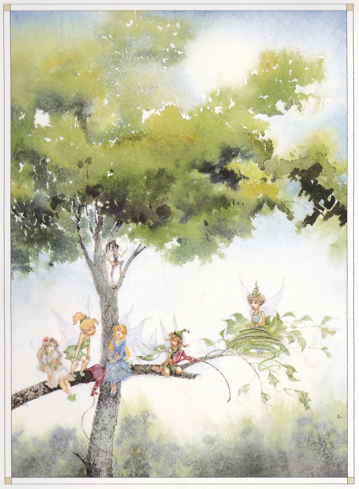DC- Fairies on a tree, I love this perspective as the detail is less overwhelming. I believe the one ...