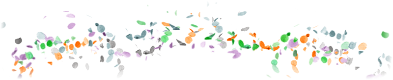 confettidivider.png