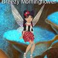 My Albums