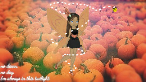 bummblebee edit.jpg