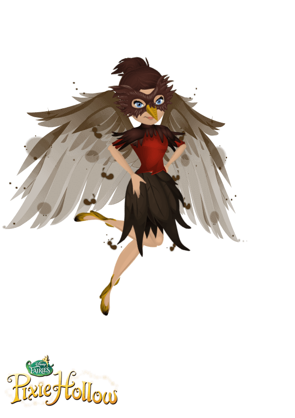 robin (bird) 