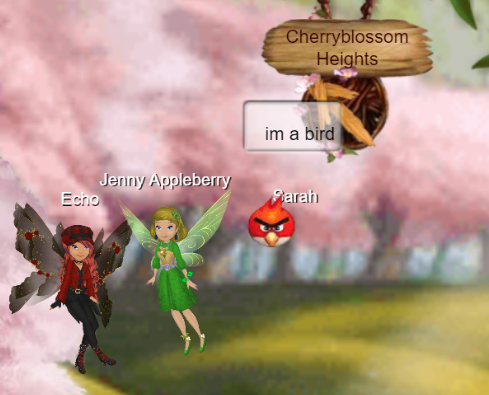 Bird Watching.PNG