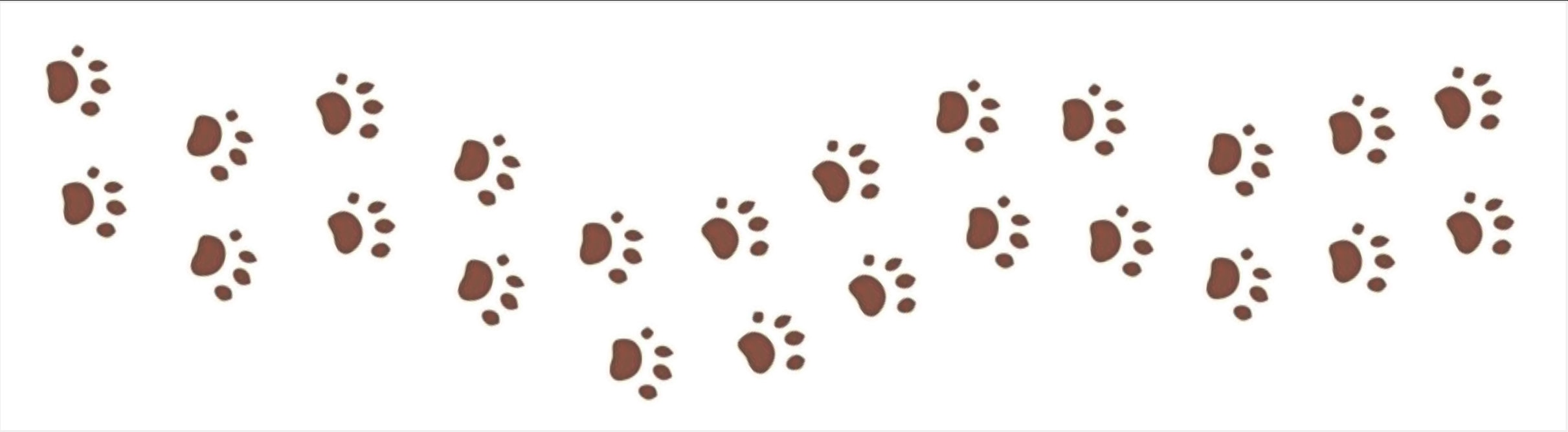 paw page break.png